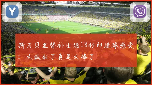 斯万贝里替补出场18秒即进球感受：太疯狂了真是太棒了