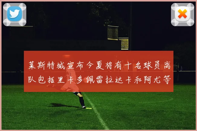 莱斯特城宣布今夏将有十名球员离队包括里卡多佩雷拉达卡和阿尤等人